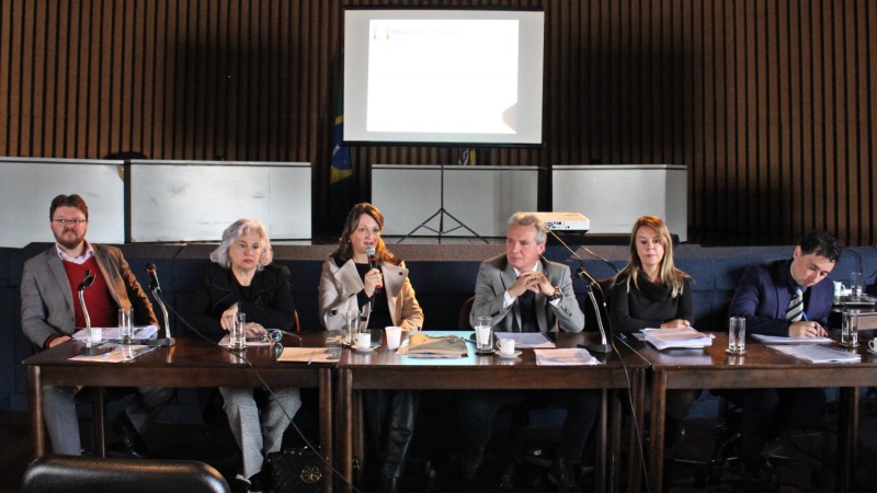 Dirigente do Nuds participa de workshop que debateu a judicialização da saúde