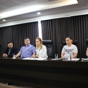Dirigente do Nudem participa de evento sobre a rede de enfrentamento à violência contra a mulher com deficiência