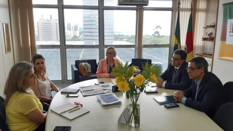 Defensores públicos realizam audiência com a secretária estadual da saúde, Arita Bergmann