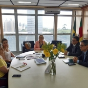 Defensores públicos realizam audiência com a secretária estadual da saúde, Arita Bergmann