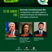 Defensora gaúcha participa de webnário nacional sobre desafios para a implementação da Defensoria Pública em todas comarcas
