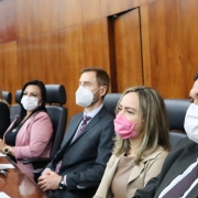 Defensoria apresenta Relatório Anual na Assembleia