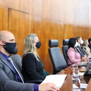 Defensoria apresenta Relatório Anual na Assembleia