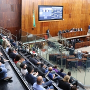 Defensoria apresenta Relatório Anual na Assembleia