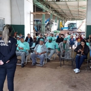 Projeto "Desbravando o Campo" visitou granjas do interior de Itaqui