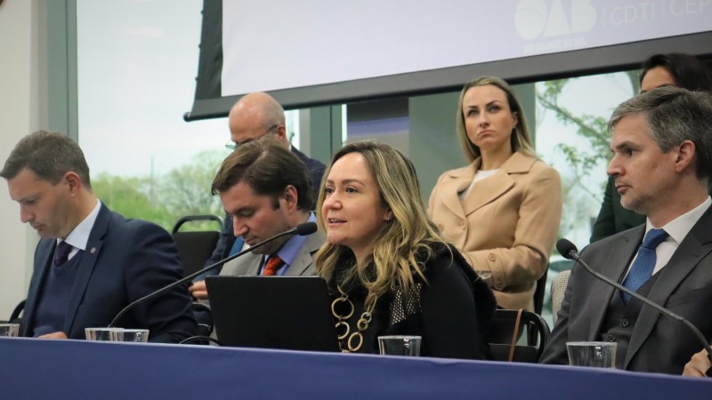 Subdefensora pública-geral para Assuntos Institucionais, Melissa Torres Silveira