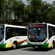 Gratuidade na tarifa de ônibus em Novo Hamburgo para o 2º turno das eleições