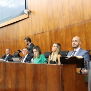 A prestação de contas aos deputados, que ocorre todos os anos, foi realizada pelo defensor público-geral
