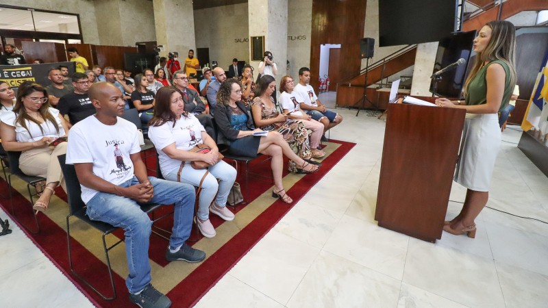 Defensora pública Aline Palermo