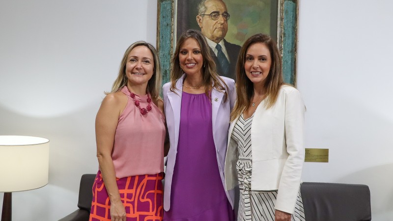 Defensoras participam de grande expediente da Assembleia Legislativa dedicado às mulheres