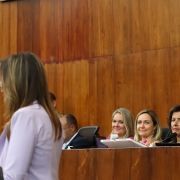 Subdefensora pública-geral, Melissa Torres da Silveira