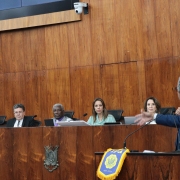Deputado estadual Frederico Antunes, proponente do Grande Expediente