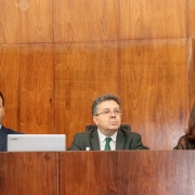 Acesso à justiça foi tema do Grande Expediente na Assembleia Legislativa