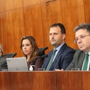 Acesso à justiça foi tema do Grande Expediente na Assembleia Legislativa