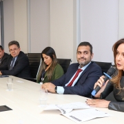 Defensora pública dirigente do NUDEM, Liseane Hartmann