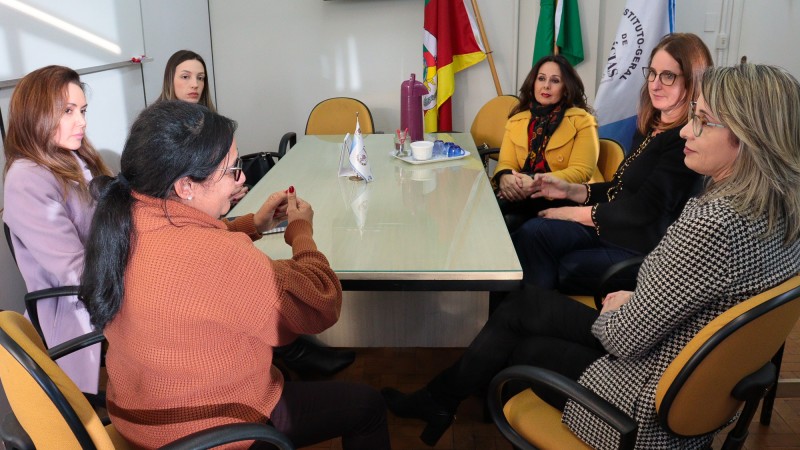 As dirigentes dos Núcleos de Defesa em Execução Penal (NUDEP), Cintia Luzzatto; de Defesa dos Direitos Humanos (NUDDH), Aline Palermo Guimarães; de Defesa da Saúde (NUDS), Liliane Paz Deble; de Defesa da Mulher (NUDEM), Liseane Hartmann; e de Defesa da Criança e Adolescente (NUDECA), Andreia Paz Rodrigues reunidas com a diretora do DML, Angelita Maria Ferreira Machado Rios