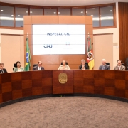 Defensor público-geral do Estado participa de cerimônia de recepção do CNJ