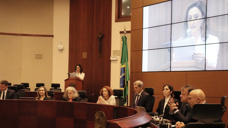 Foto da subdefensora pública-geral durante audiência pública
