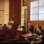 Subdefensora pública-geral participa de audiência pública para revisão do Código Civil