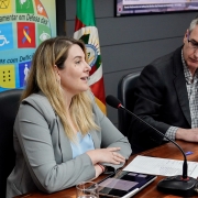 Com participação de defensora pública, Frente Parlamentar em Defesa das Pessoas com Deficiência é reinstalada