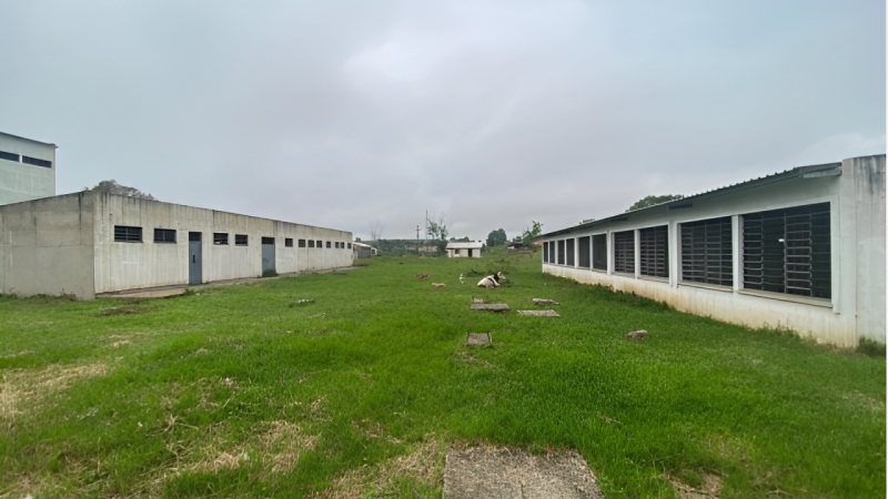 Foto da escola sem manutenção.