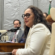 Subdefensora pública-geral partipa de instalação de Comitê de Enfrentamento à Fraude à Cota de Gênero no TRE-RS