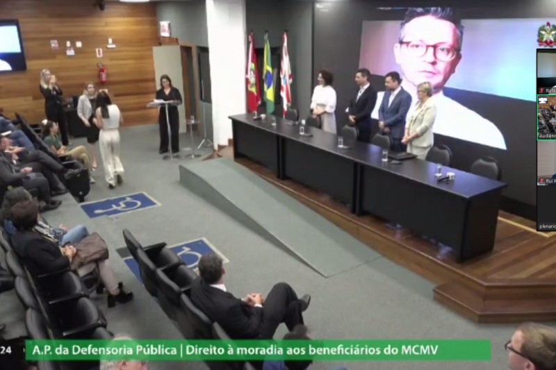 Defensor público Rafael Magagnin participou da audiência de forma virtual