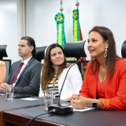 A defensora destacou que a criação da Frente Parlamentar quebra um tabu: o medo de falar sobre pedofilia