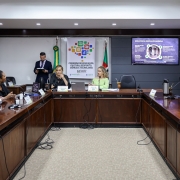 O relat&oacute;rio foi divulgado durante reuni&atilde;o da Comiss&atilde;o de Educa&ccedil;&atilde;o, Cultura, Desporto, Ci&ecirc;ncia e Tecnologia da ALRS.