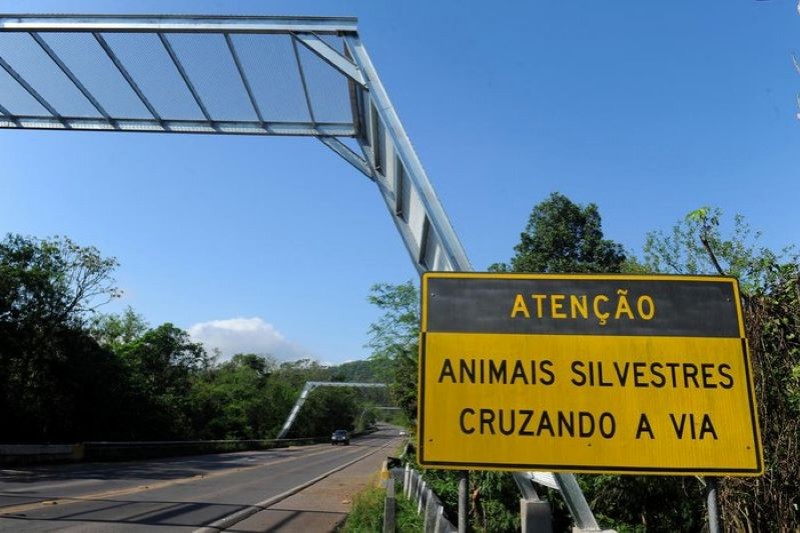 Rodovia e placa onde está escrito "Atenção: animais silvestres cruzando a via".
