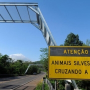 Rodovia e placa onde está escrito "Atenção: animais silvestres cruzando a via".