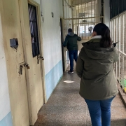 O objetivo da ação é monitorar e identificar as necessidades do sistema socioeducativo gaúcho.
