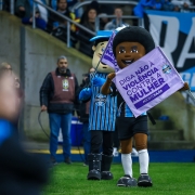 Os mascotes Flecha Negra e Mosqueteiro deram a volta no gramado no pré-jogo, carregando a bandeira da causa.
