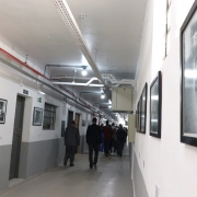 galeria de fotos na parede.