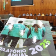 O relat&oacute;rio de atividades da DPE/RS apresentado aos deputados estaduais demonstrou o crescimento da institui&ccedil;&atilde;o no Estado