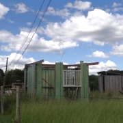 WhatsApp Image 2025 12 12 at 1 01 46 PM