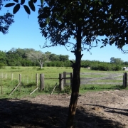 WhatsApp Image 2025 12 12 at 1 01 47 PM (2)