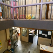 O of&iacute;cio foi submetido &agrave; SSPS na &uacute;ltima sexta-feira (9).