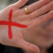 sinal vermelho violencia domestica marco charneski