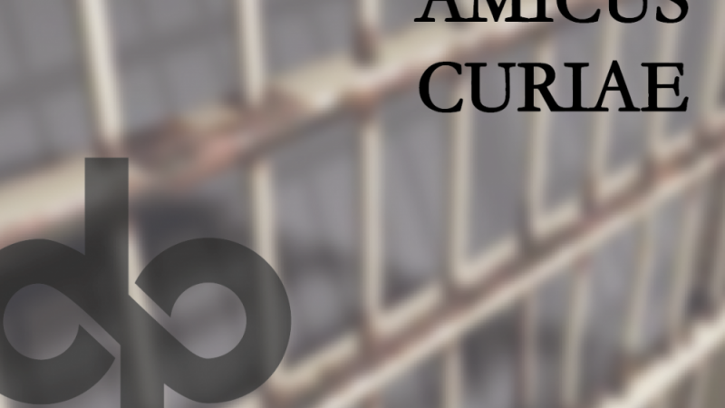 20170706172710amicus_curiae_01.png