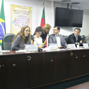 Adriana Hervé Chaves Barcellos durante sua fala na CCDH da Assembleia Legislativa