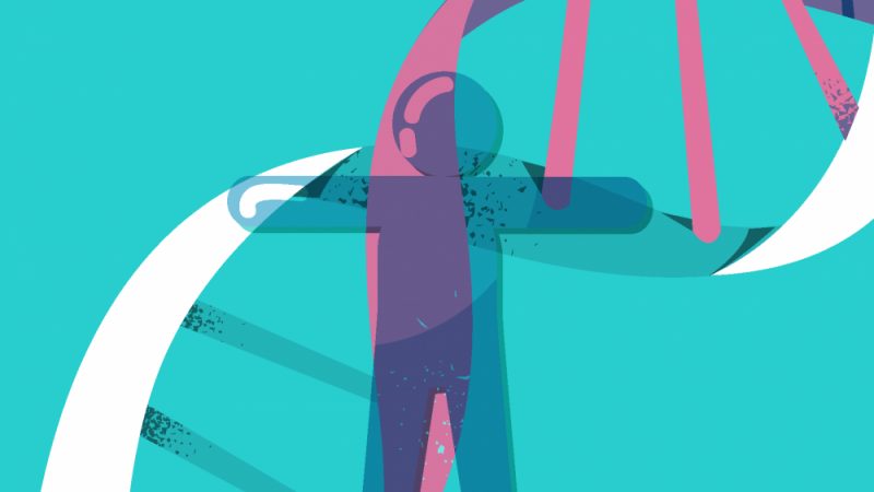 20171120091258dna_cadaver_01.png